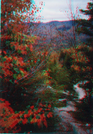 Fall Colors Color Anaglyph