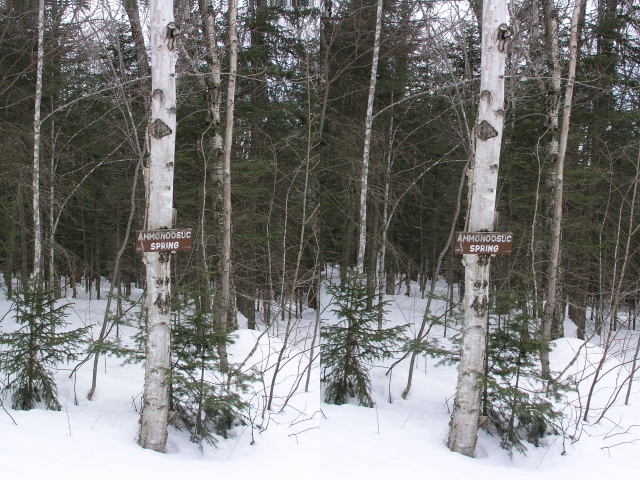 Ammonoosuc Spring trail sign