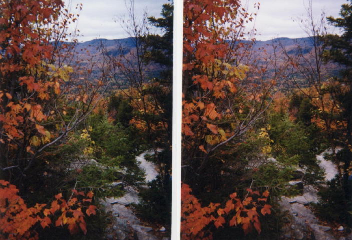 Fall Colors side by side